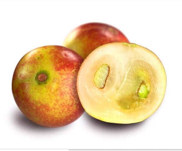  Camu-camu: fructul cel mic plin de vitamina mare