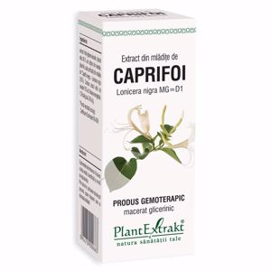 Plant E Extract Mladite de Caprifoi x50 ml