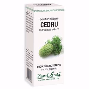 Plant E Extract Mladite de Cedru 50ml