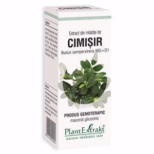 Plant E Extract Mladite de Cimisir 50ml