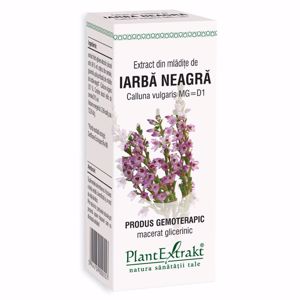 Plant E Extract Mladite de Iarba Neagra 50ml