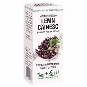 Plant E Extract Mladite de Lemn Cainesc 50ml