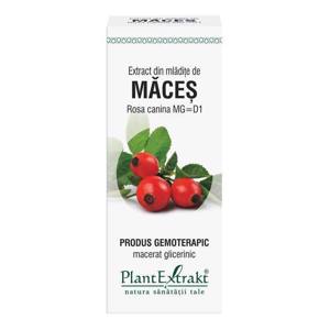 Plant E Extract Mladite de Maces 50ml