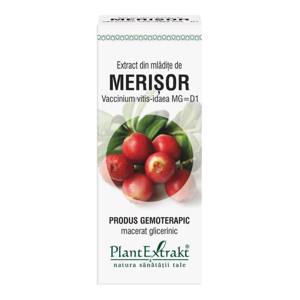 Plant E Extract Mladite de Merisor 50ml