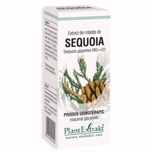 Plant E Extract Mladite de Sequoia 50ml