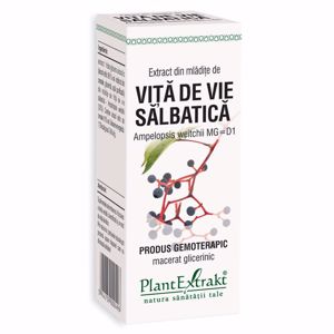 Plant E Extract Mladite de Vita de Vie Salbatica 50ml