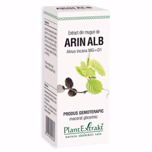 Plant E Extract Muguri de Arin Alb