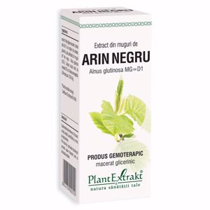 Plant E Extract Muguri de Arin Negru
