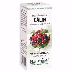 Plant E Extract Muguri de Calin 50ml
