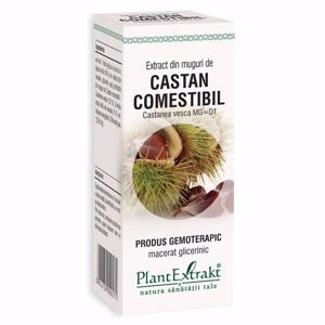Plant E Extract Muguri de Castan Comestibil 50ml