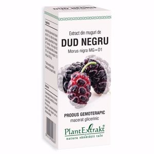 Plant E Extract Muguri de Dud 50ml