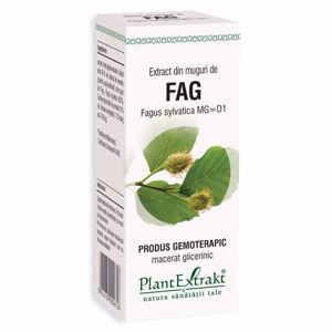 Plant E Extract Muguri de Fag 50ml