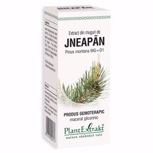 Plant E Extract Muguri de Jneapan 50ml