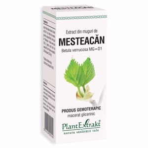 Plant E Extract Muguri de Mesteacan