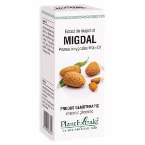 Plant E Extract Muguri de Migdal 50ml