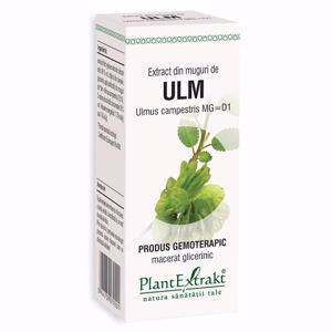 Plant E Extract Muguri de Ulm 50ml