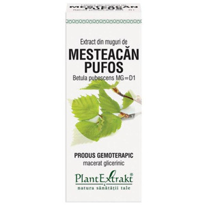 Plant E Extract muguri mesteacan pufos 50ml