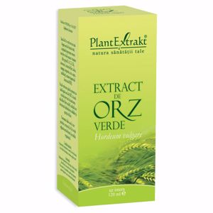 Plant E Extract Orz Verde 120ml
