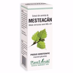 Plant E Extract Seminte de Mesteacan