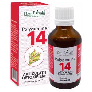 Plant E Polygemma nr. 14 Articulatii-Detoxifiere x 50ml