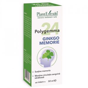 Plant E Polygemma nr. 24 Ginkgo memorie 50ml