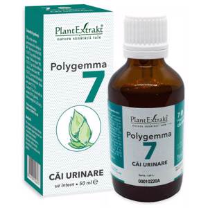 Plant E Polygemma nr. 7 – Cai urinare