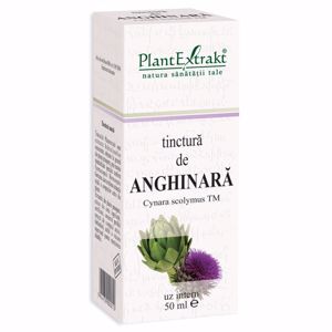 Plant E Tinctura anghinare x 50ml