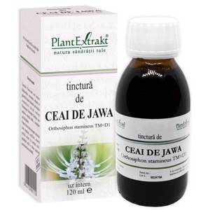 Plant E Tinctura Ceai de Jawa TM 120ml