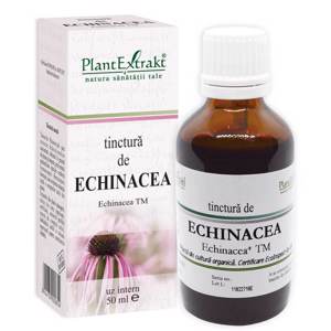 Plant Extrakt Tinctura Echinacea  x 50 ml