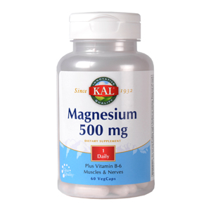 Secom Magnesium  500mg cps x 60